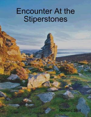 Cover of the book Encounter At the Stiperstones by Noah Weinsberg