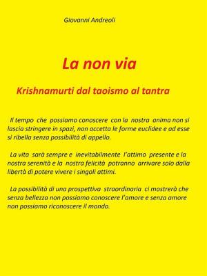 Cover of the book La non via. Krishnamurti dal taoismo al tantra by John William Rosel