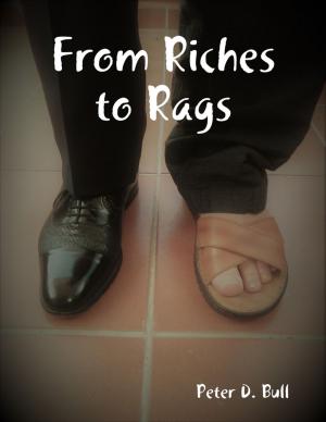 Cover of the book From Riches to Rags by James A. Burgess, Malibu Publishing