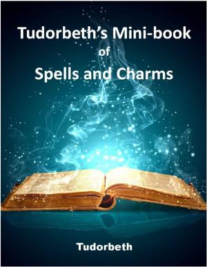 Book cover of Tudorbeth's Mini Book of Spells and Charms