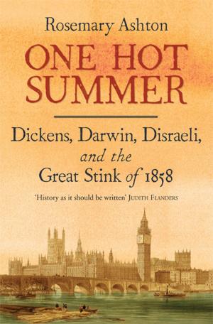 Cover of the book One Hot Summer by Richard Sennett