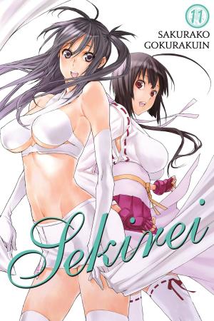 Cover of the book Sekirei, Vol. 11 by Cassandra Clare, HyeKyung Baek