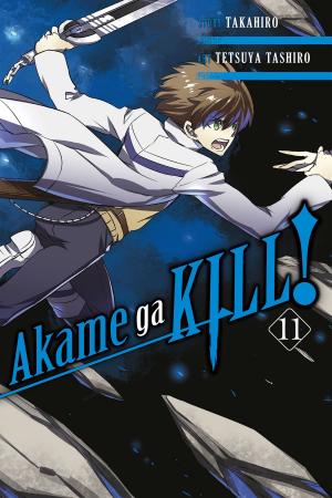 Cover of the book Akame ga KILL!, Vol. 11 by Shiden Kanzaki, Saki Ukai