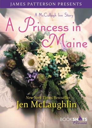 Book cover of A Princess in Maine