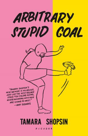 Cover of the book Arbitrary Stupid Goal by Courtney Angela Brkic