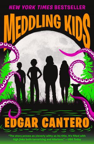 Cover of the book Meddling Kids by David Lehman