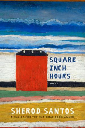 Cover of the book Square Inch Hours: Poems by Robert Pinsky