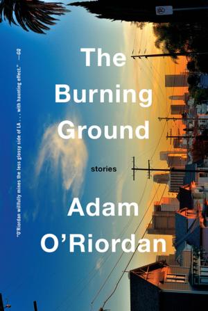 Cover of the book The Burning Ground: Stories by Susan Fletcher