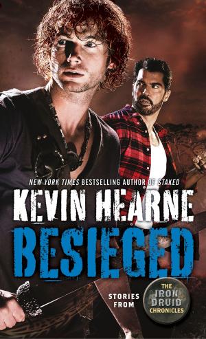 Cover of the book Besieged by Janet Evanovich