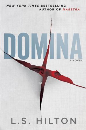 Cover of the book Domina by J.D. Stonebridge