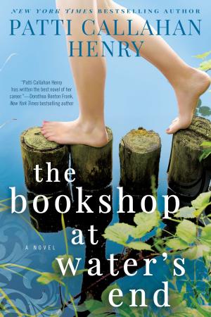 Book cover of The Bookshop at Water's End