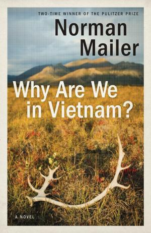 bigCover of the book Why Are We in Vietnam? by 