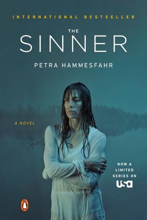 Cover of the book The Sinner by Catherine Anderson