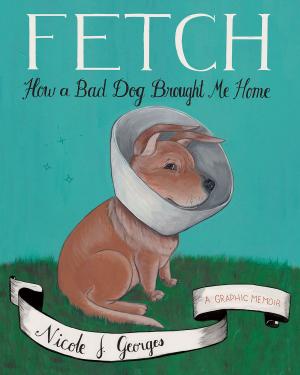 Cover of the book Fetch by Edward Eager