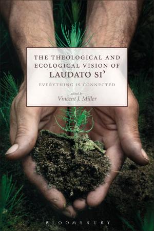 Cover of the book The Theological and Ecological Vision of Laudato Si' by Mr Andy Seed
