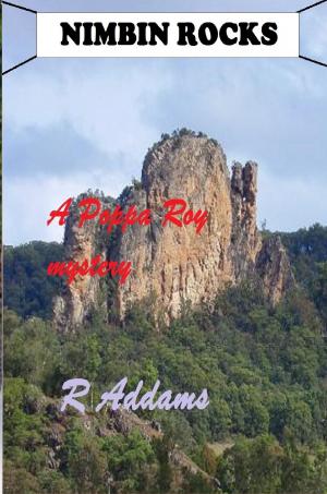 Cover of the book Nimbin Rocks by Ty Patterson