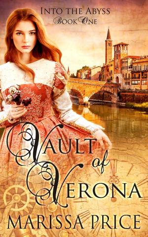 Cover of the book Vault of Verona by Donna Hawk