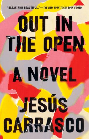 Cover of the book Out in the Open by Jeannie Moon