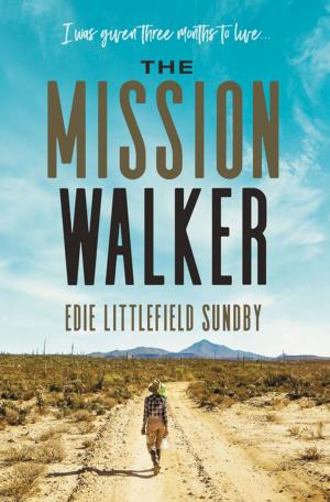 Cover of the book The Mission Walker by Emily Ley