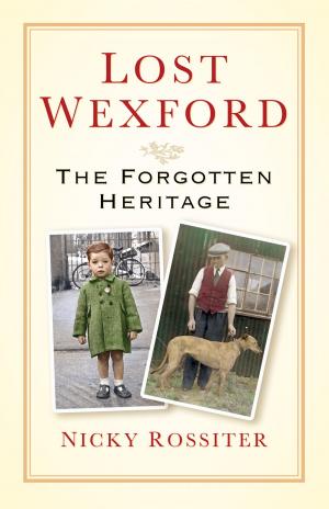 Cover of the book Lost Wexford by Jonathan Trigg