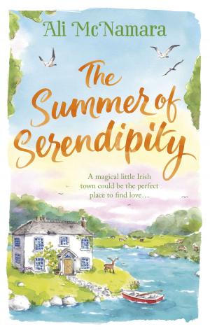 Cover of the book The Summer of Serendipity by Stewart Whyte