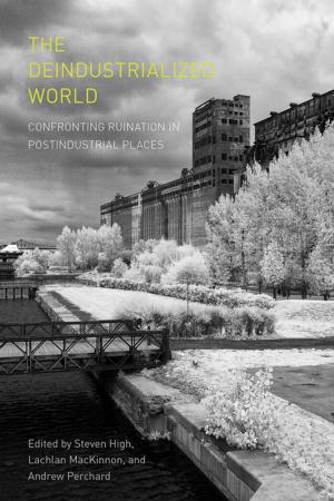 Book cover of The Deindustrialized World