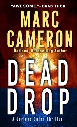 Book cover of Dead Drop