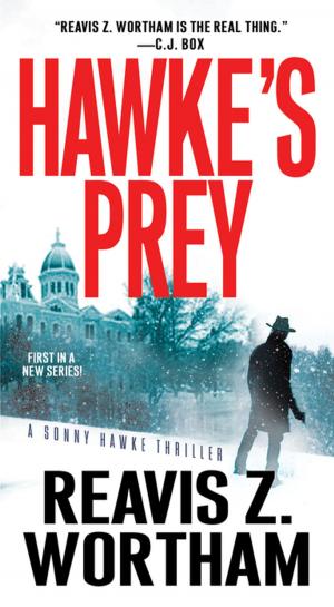Cover of the book Hawke's Prey by Daniel Palmer