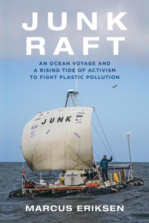 Cover of the book Junk Raft by Shani Robinson, Anna Simonton