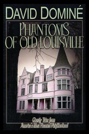 Cover of the book Phantoms of Old Louisville by Matthew T. Dickerson, Jonathan Evans, Tom Shippey
