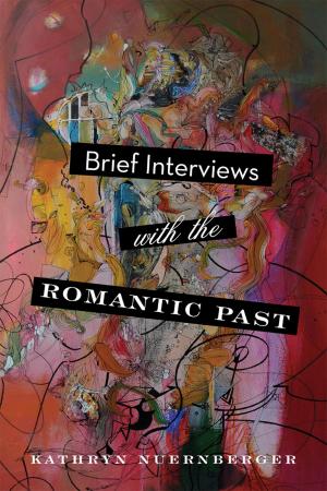 Cover of the book Brief Interviews with the Romantic Past by Peter W. Culicover, Elizabeth V. Hume