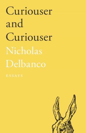 Cover of the book Curiouser and Curiouser by Niq Mhlongo