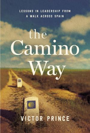 Cover of the book The Camino Way by Potter, Geoff