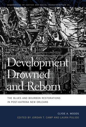Book cover of Development Drowned and Reborn