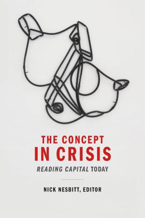 Cover of the book The Concept in Crisis by Scott Bukatman