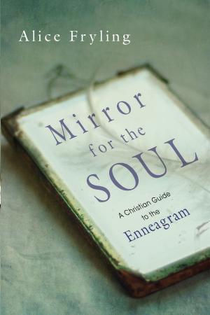 Cover of the book Mirror for the Soul by Steven Garber