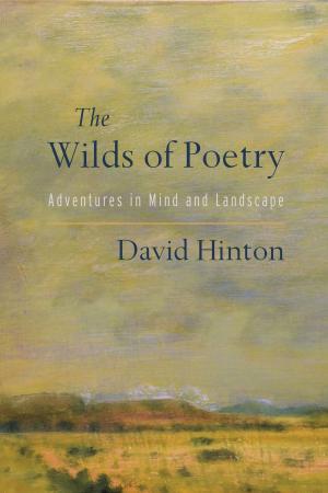 Book cover of The Wilds of Poetry