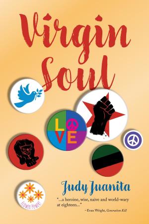 Book cover of Virgin Soul