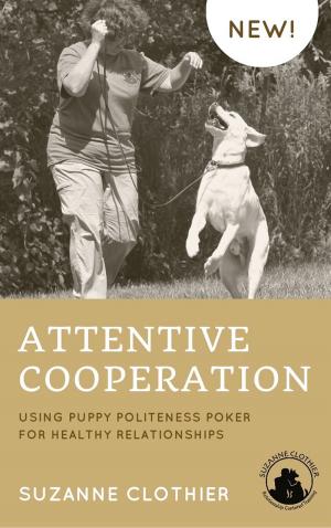 Cover of the book Attentive Cooperation by Jacquelyn Elnor Johnson
