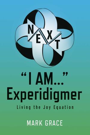 Cover of the book Next: "I Am..." Experidigmer by Fred Sterk, Sjoerd Swaen