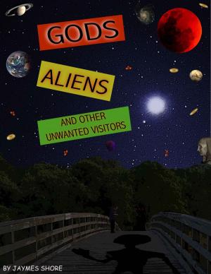 Cover of the book Gods, Aliens, and Other Unwanted Visitors by William Soppitt