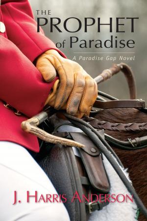 Cover of the book The Prophet of Paradise by Nolan Whyte