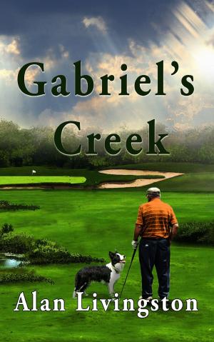 Cover of the book Gabriel's Creek by Damien Pardow