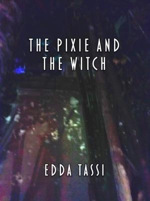 Cover of the book The Pixie and the Witch by Adrian Crutch
