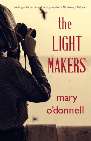 Cover of the book The Light Makers by Angie Orozco, Mary