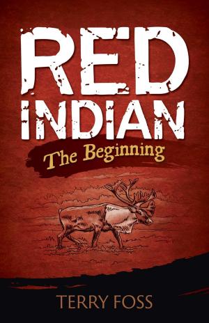 bigCover of the book Red Indian The Beginning by 