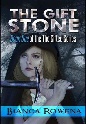 Cover of The Gift Stone