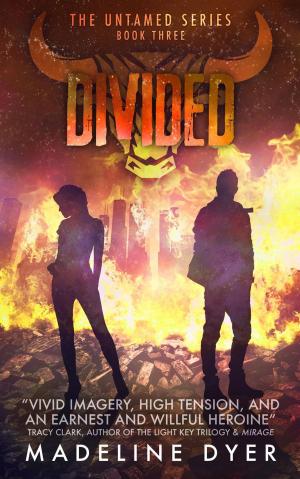 Cover of the book Divided by Steve Lang