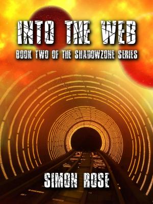 Book cover of Into The Web