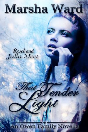 Book cover of That Tender Light: An Owen Family Novella
